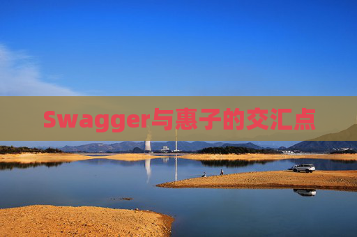 Swagger与惠子的交汇点
